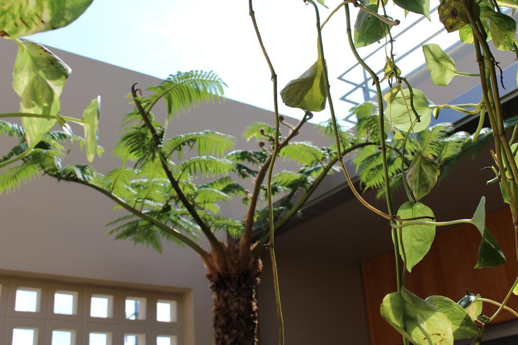Coldio Mihama Bettei Yui No Ie Apartment Chatan Exterior photo